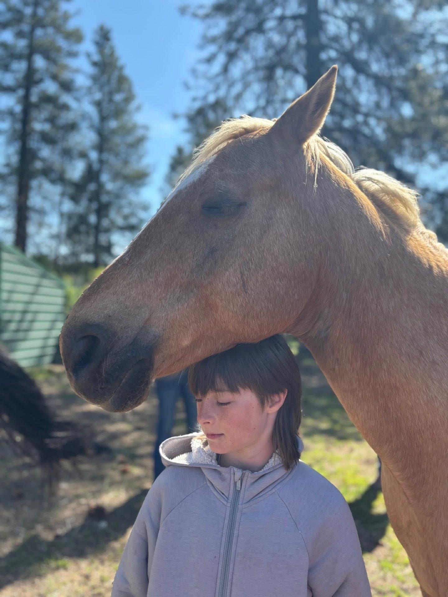 A young person resting against a buckskin horse in the pines
