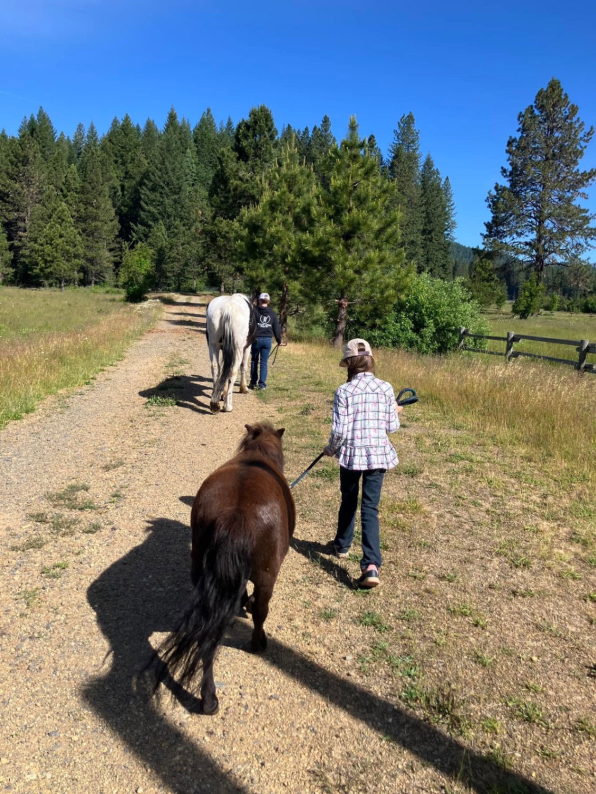 The tree-lined road into Willow Creek Ranch