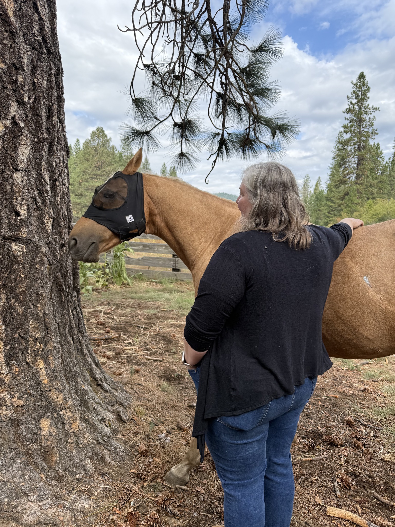 Equine Assisted Therapy